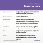 Сцевола Bicolor Lavender Blessing (0,1л) — параметры сорта