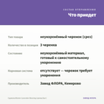 Сцевола Bicolor Lavender Blessing (срезы/3шт) — что приедет