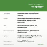 Сцевола White Touch (0,1л) — что приедет