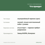 Сциндапсус Пиктус (срез/2 узла) — что приедет