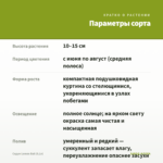 Седум Lemon Ball (0,1л) — параметры сорта