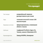 Седум Lemon Ball (0,1л) — что приедет