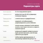 Седум Ложный (0,1л.) — параметры сорта