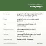 Седум Скальный Сизо-голубой (0,1л) — что приедет