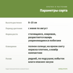Седум Скальный Светло-зеленый (0,1л) — параметры сорта