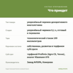Седум Скальный Светло-зеленый (0,1л) — что приедет