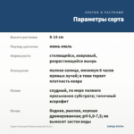 Седум Скальный Темно-зеленый (0,1л.) — параметры сорта