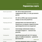 Сингониум White Batterfly — параметры сорта