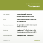 Солейролия (0,1л) — что приедет