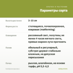 Солейролия (срез/3шт.) — параметры сорта