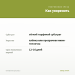 Солейролия (срез/3шт.) — как укоренить черенок