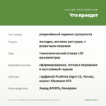 Суккулент Cotyledon Тomentosa (Котиледон Томентоза) 0,1л. — что приедет