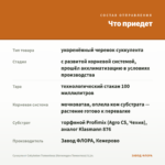Суккулент Cotyledon Тomentosa (Котиледон Томентоза) 0,1л. — что приедет
