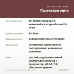 Суккулент Cotyledon Тomentosa Variegata (0,1л.) — параметры сорта