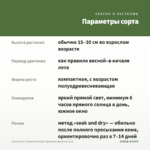 Суккулент Crassula Ernestii (Крассула Эрнеста) 0,1л. — параметры сорта