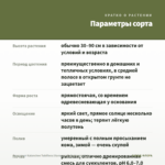 Суккулент Kalanchoe Tubiflora (Каланхоэ Тубифлора) 0,1л — параметры сорта