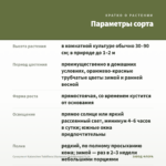 Суккулент Kalanchoe Tubiflora (Каланхоэ Тубифлора) 0,1л — параметры сорта