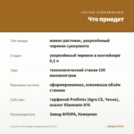 Суккулент Котиледон Подвешенный (0.1л.) — что приедет