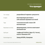 Суккулент Портулакария Афра Вариегата (0,1л) — что приедет