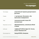 Суккулент Senecio Rowleyanus (Сенецио Роули) — что приедет