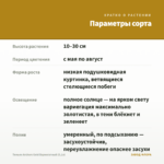 Тимьян Archers Gold Вариегатный (0,1л) — параметры сорта