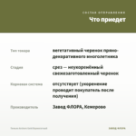 Тимьян Archers Gold Вариегатный — что приедет
