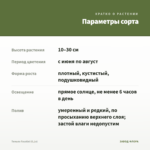 Тимьян Faustini (0,1л) — параметры сорта