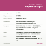 Тимьян Фаустини — параметры сорта