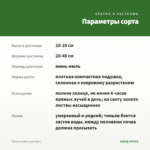 Тимьян Goldy (срез/5шт) — параметры сорта