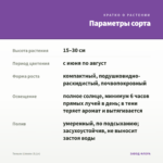 Тимьян Limone (0,1л) — параметры сорта