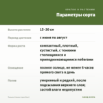 Тимьян Limone (срез/5шт) — параметры сорта
