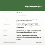 Тимьян Sambesi Вариегатный (0,1л) — параметры сорта
