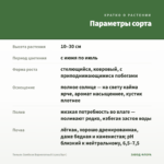 Тимьян Замбези Вариегатный (срез/5шт) — параметры сорта