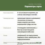 Традесканция Белоцветковая Albovittata — параметры сорта