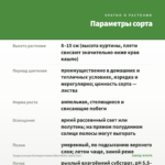 Традесканция Белоцветковая Albovittata (срез/3шт) — параметры сорта