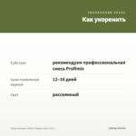 Традесканция Callisia Еlegans (срез/3шт.) — как укоренить черенок