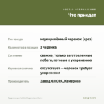 Традесканция Callisia Еlegans (срез/3шт.) — что приедет