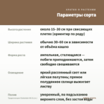 Традесканция Chokolate Hill (0,1л.) — параметры сорта