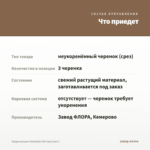 Традесканция Chokolate Hill (срез/3шт.) — что приедет