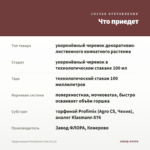 Традесканция Fluminensis Lilac (0,1л) — что приедет