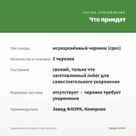 Традесканция Fluminensis Lilac (срез/3шт) — что приедет
