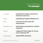 Традесканция Гибазис вариегатный (0,1л) — что приедет