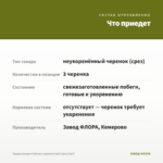 Традесканция Гибазис вариегатный (срез/3шт) — что приедет