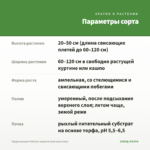 Традесканция Гибазис вариегатный (срез/3шт) — параметры сорта