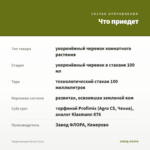 Традесканция Нанук (0,1л) — что приедет