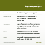Традесканция Нанук (срез/1шт) — параметры сорта