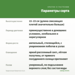 Традесканция Приречная (0,1л) — параметры сорта
