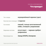 Традесканция Purple Heart (срез/1шт) — что приедет