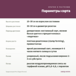 Традесканция Рео (Ладья Моисея) — параметры сорта