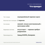 Традесканция Setcreasea Рurpurea (срез/1шт) — что приедет